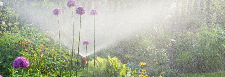 Wassersprenger über Pflanzen